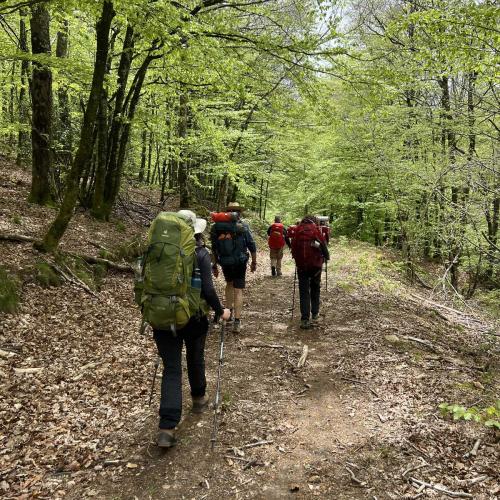 Occitanie Rando Rando Itinerante 3 Jours Lacaune La Salvetat Enfant Sauvage 22