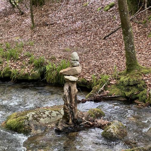 Occitanie Rando Rando Itinerante 3 Jours Lacaune La Salvetat Enfant Sauvage 23