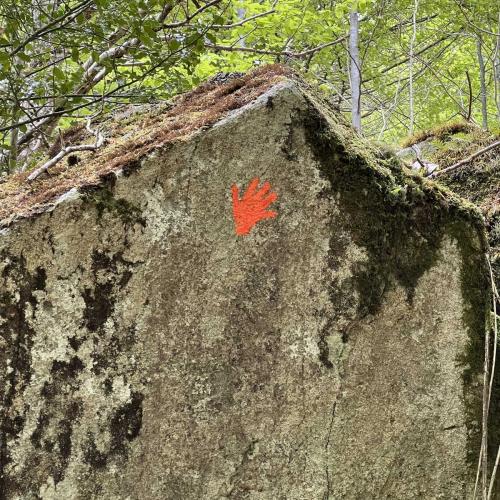 Occitanie Rando Rando Itinerante 3 Jours Lacaune La Salvetat Enfant Sauvage 27
