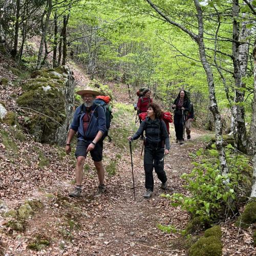 Occitanie Rando Rando Itinerante 3 Jours Lacaune La Salvetat Enfant Sauvage 28