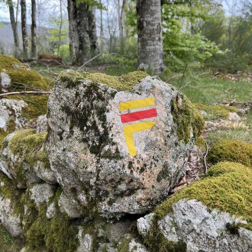 Occitanie Rando Rando Itinerante 3 Jours Lacaune La Salvetat Enfant Sauvage 33