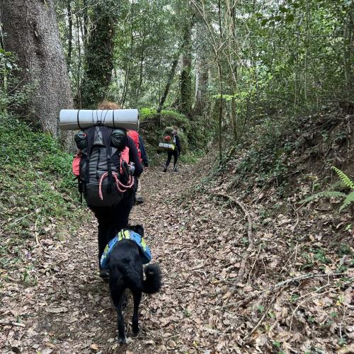 Occitanie Rando Rando Itinerante 3 Jours Lacaune La Salvetat Enfant Sauvage 34