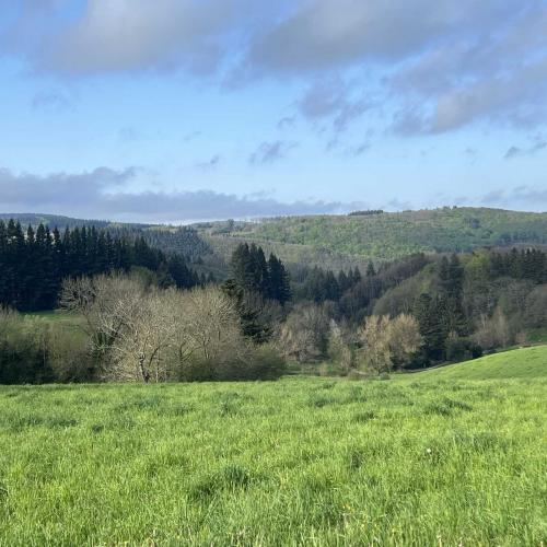 Occitanie Rando Rando Itinerante 3 Jours Lacaune La Salvetat Enfant Sauvage 49