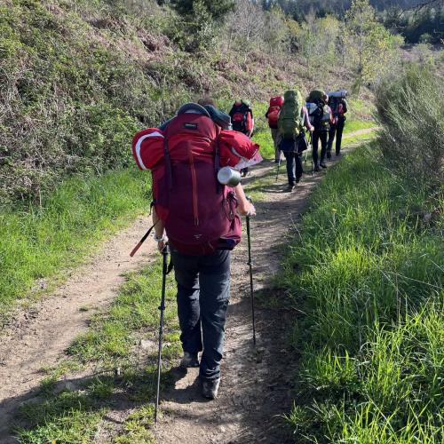 Occitanie Rando Rando Itinerante 3 Jours Lacaune La Salvetat Enfant Sauvage 61
