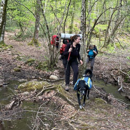 Occitanie Rando Rando Itinerante 3 Jours Lacaune La Salvetat Enfant Sauvage 66