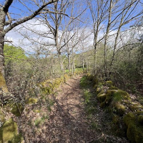 Occitanie Rando Rando Itinerante 3 Jours Lacaune La Salvetat Enfant Sauvage 74
