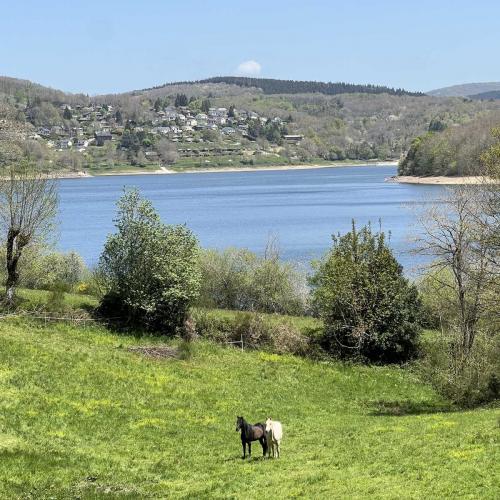 Occitanie Rando Rando Itinerante 3 Jours Lacaune La Salvetat Enfant Sauvage 85