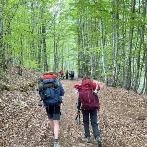 Occitanie Rando Rando Itinerante 3 Jours Lacaune La Salvetat Enfant Sauvage 94