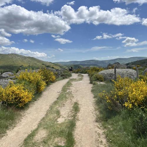 Occitanie Rando Rando Itinerante Gr70 Stevenson 5 Belle Etape 102