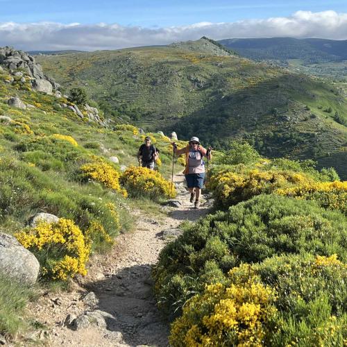 Occitanie Rando Rando Itinerante Gr70 Stevenson 5 Belle Etape 132