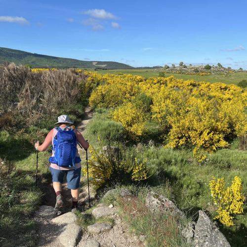 Occitanie Rando Rando Itinerante Gr70 Stevenson 5 Belle Etape 137