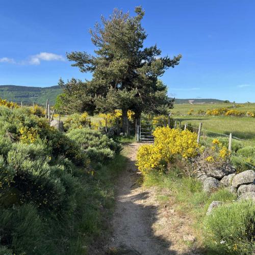 Occitanie Rando Rando Itinerante Gr70 Stevenson 5 Belle Etape 139