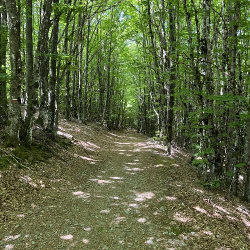 Occitanie Rando Rando Itinerante Gr70 Stevenson 5 Belle Etape 160