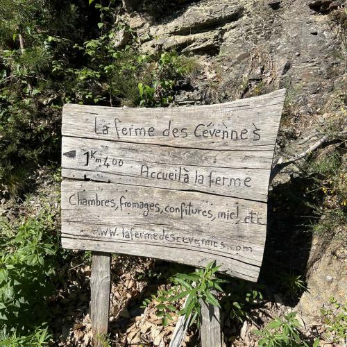 Occitanie Rando Rando Itinerante Gr70 Stevenson 5 Belle Etape 175