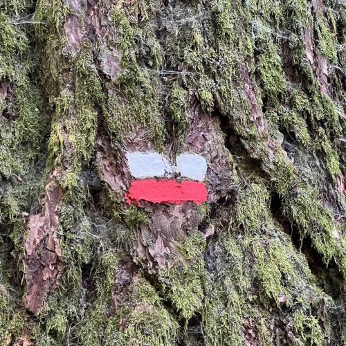 Occitanie Rando Rando Itinerante Gr70 Stevenson 5 Belle Etape 203