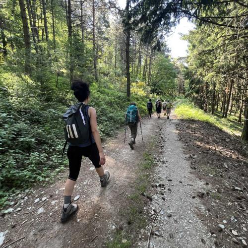 Occitanie Rando Rando Itinerante Gr70 Stevenson 5 Belle Etape 207