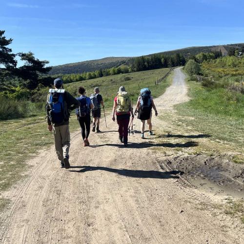 Occitanie Rando Rando Itinerante Gr70 Stevenson 5 Belle Etape 25