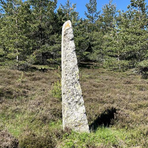 Occitanie Rando Rando Itinerante Gr70 Stevenson 5 Belle Etape 31