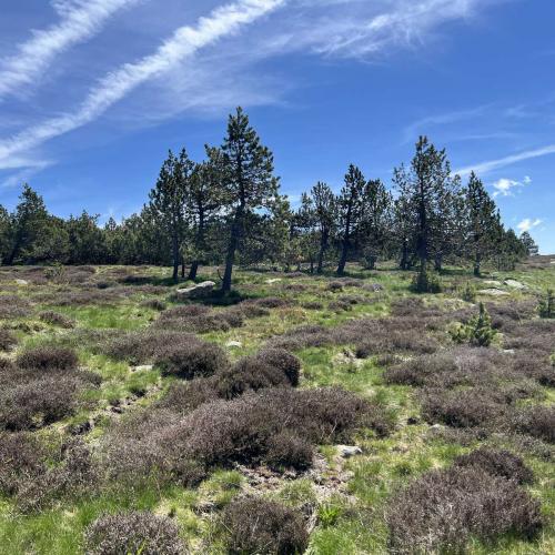 Occitanie Rando Rando Itinerante Gr70 Stevenson 5 Belle Etape 63