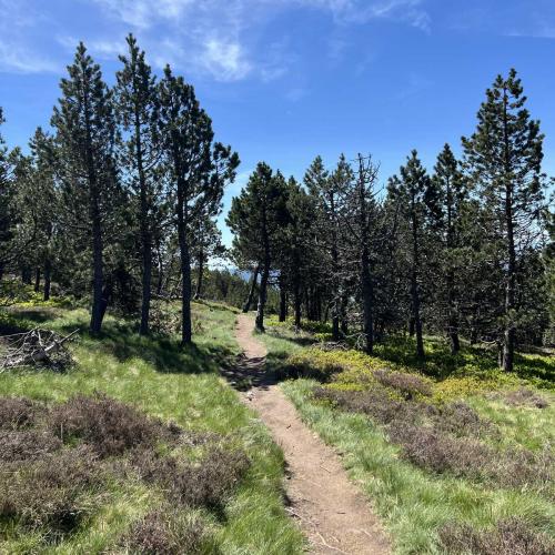 Occitanie Rando Rando Itinerante Gr70 Stevenson 5 Belle Etape 66