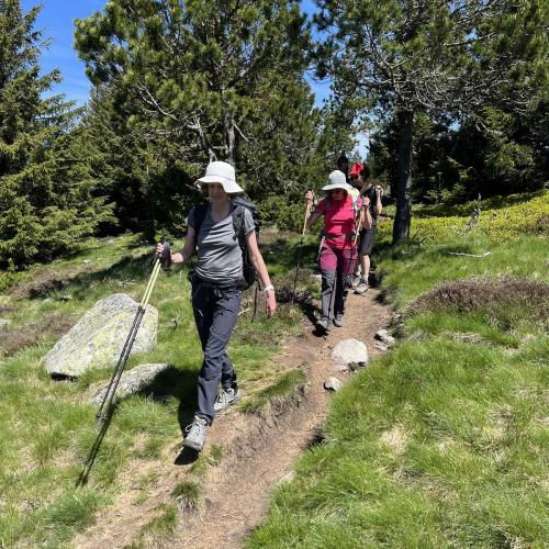 Occitanie Rando Rando Itinerante Gr70 Stevenson 5 Belle Etape 71