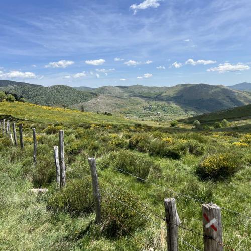 Occitanie Rando Rando Itinerante Gr70 Stevenson 5 Belle Etape 84