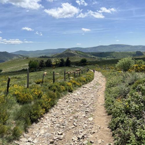 Occitanie Rando Rando Itinerante Gr70 Stevenson 5 Belle Etape 86