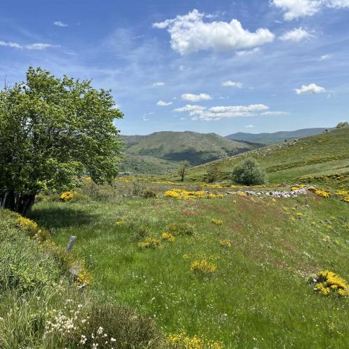 Occitanie Rando Rando Itinerante Gr70 Stevenson 5 Belle Etape 92