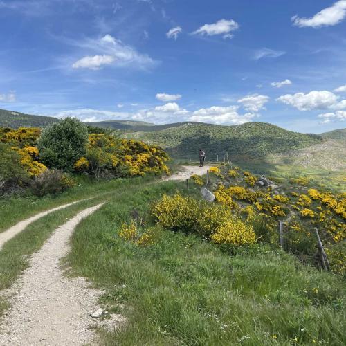 Occitanie Rando Rando Itinerante Gr70 Stevenson 5 Belle Etape 94