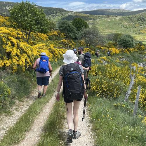 Occitanie Rando Rando Itinerante Gr70 Stevenson 5 Belle Etape 96
