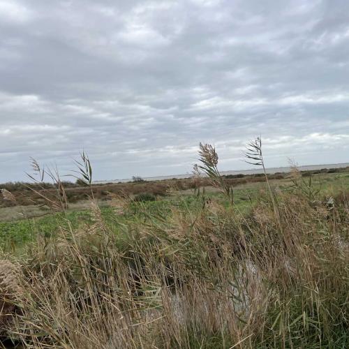 Occitanie Rando Randonnee Herault Villeneuve Maguelone Salines 05