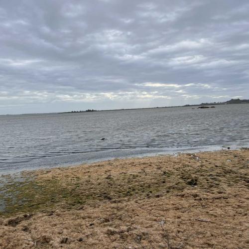 Occitanie Rando Randonnee Herault Villeneuve Maguelone Salines 06