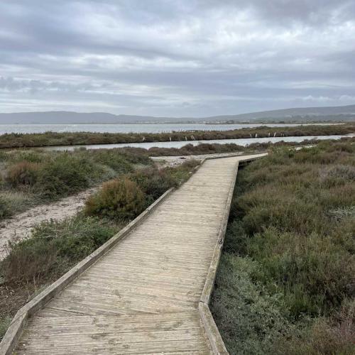 Occitanie Rando Randonnee Herault Villeneuve Maguelone Salines 20