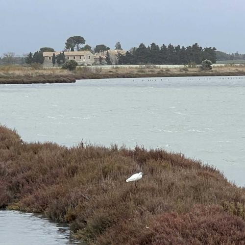Occitanie Rando Randonnee Herault Villeneuve Maguelone Salines 27