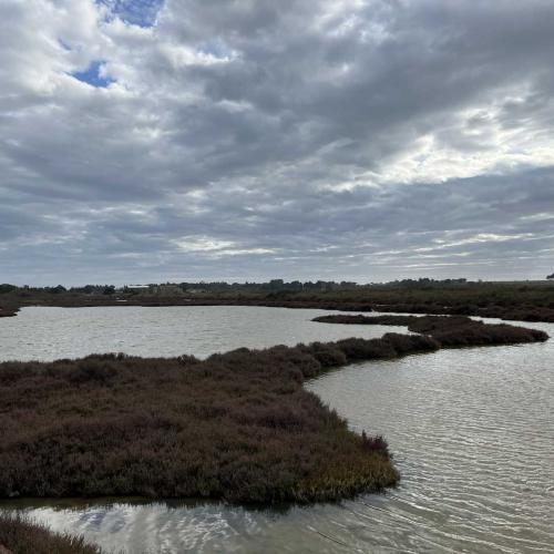 Occitanie Rando Randonnee Herault Villeneuve Maguelone Salines 32