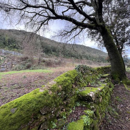 Occitanie Rando Bedarieux Pic Tantajo Roc Blanc 10