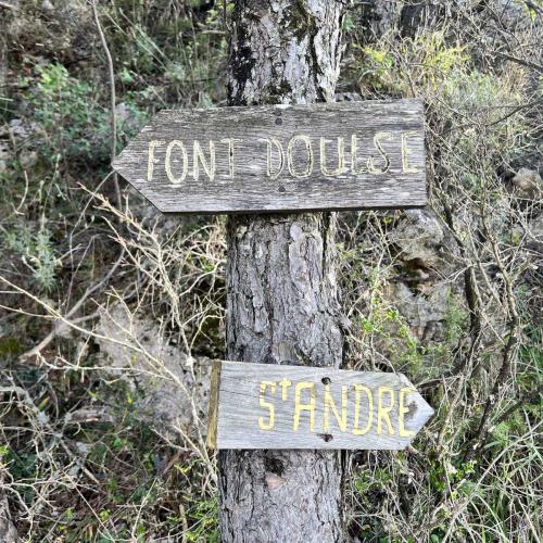 Occitanie Rando Trekking La Roque Sainte Larguerite Causse Noir Dourbie 41