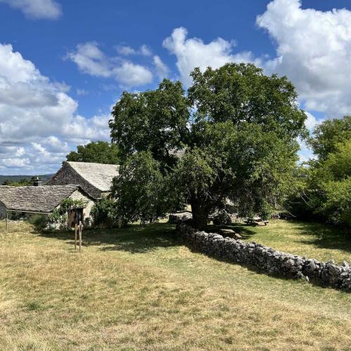 Occitanie Rando Trekking La Roque Sainte Larguerite Causse Noir Dourbie 78