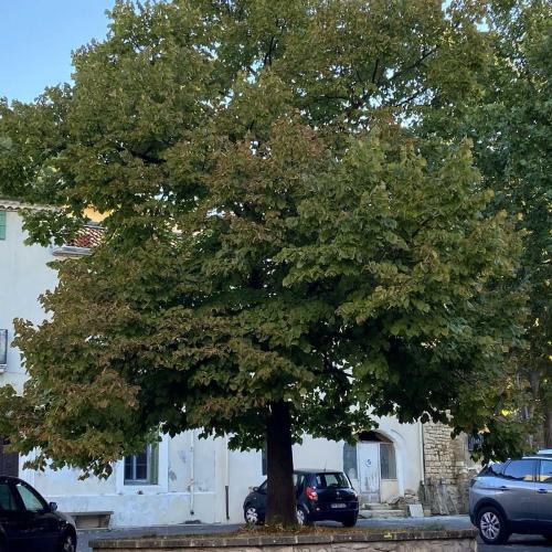 Occitanie Rando Randonnee Herault Le Pouget Fontaines Et Lavoirs 03