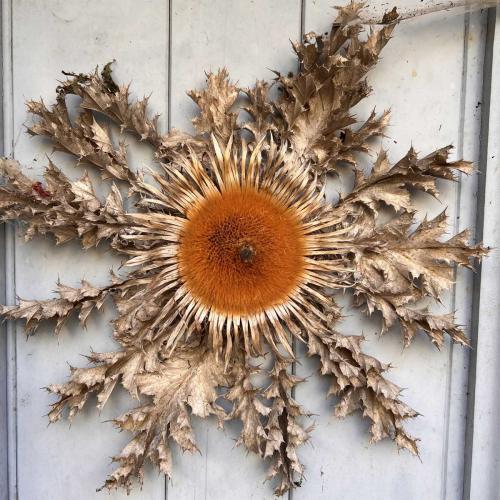 Occitanie Rando Trekking Roque Sainte Marguerite Causse Noir Vallee Dourbie Millau 100