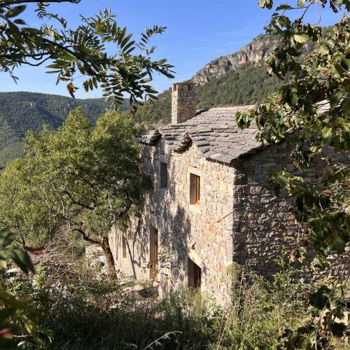 Occitanie Rando Trekking Roque Sainte Marguerite Causse Noir Vallee Dourbie Millau 29