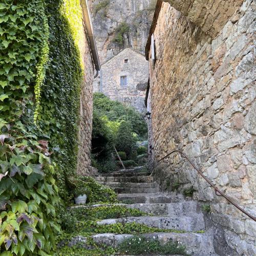 Occitanie Rando Trekking Roque Sainte Marguerite Causse Noir Vallee Dourbie Millau 43