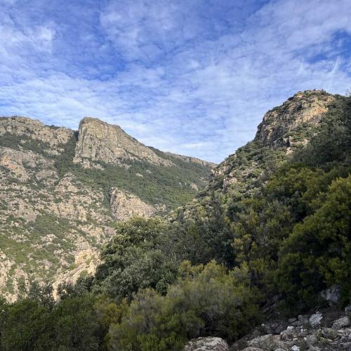 Occitanie Rando Trekking Caroux Piste Buffe Colombieres Sur Orb 06