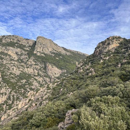 Occitanie Rando Trekking Caroux Piste Buffe Colombieres Sur Orb 12