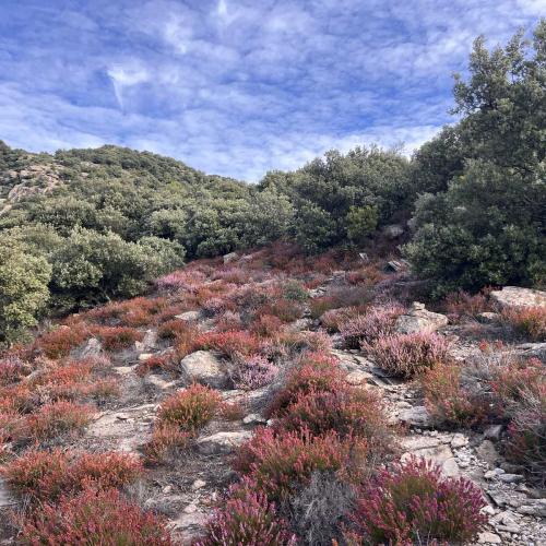 Occitanie Rando Trekking Caroux Piste Buffe Colombieres Sur Orb 13
