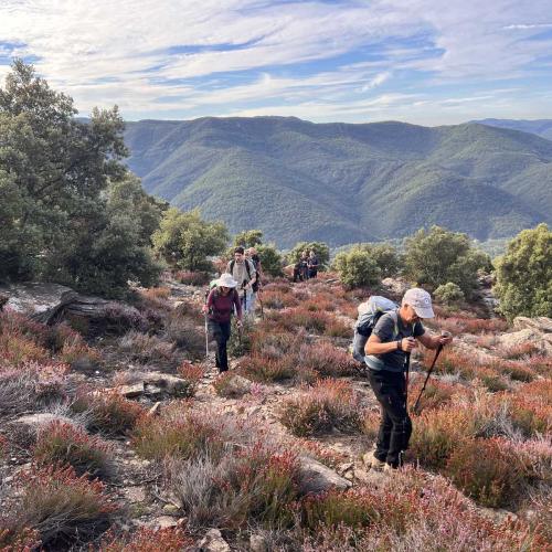Occitanie Rando Trekking Caroux Piste Buffe Colombieres Sur Orb 14