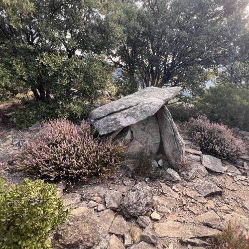 Occitanie Rando Trekking Caroux Piste Buffe Colombieres Sur Orb 16