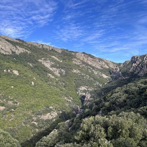 Occitanie Rando Trekking Caroux Piste Buffe Colombieres Sur Orb 21