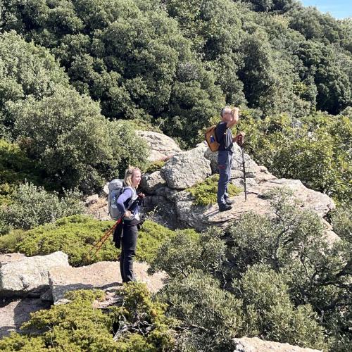 Occitanie Rando Trekking Caroux Piste Buffe Colombieres Sur Orb 37