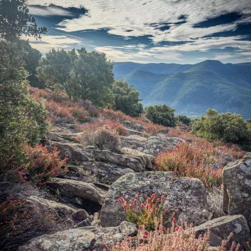 Occitanie Rando Trekking Caroux Piste Buffe Colombieres Sur Orb 48